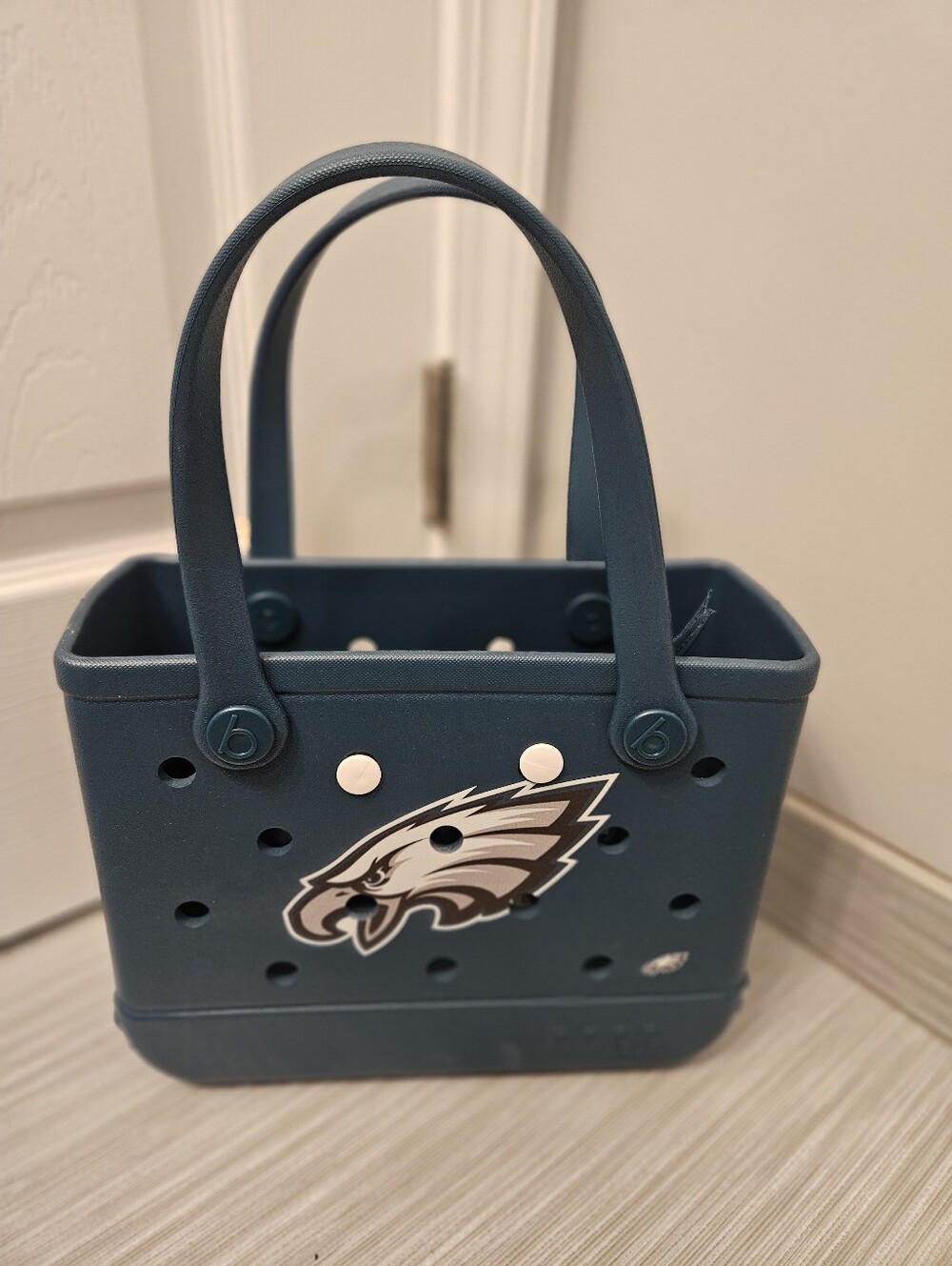 Philadelphia EAGLES Bitty BOGG bag
